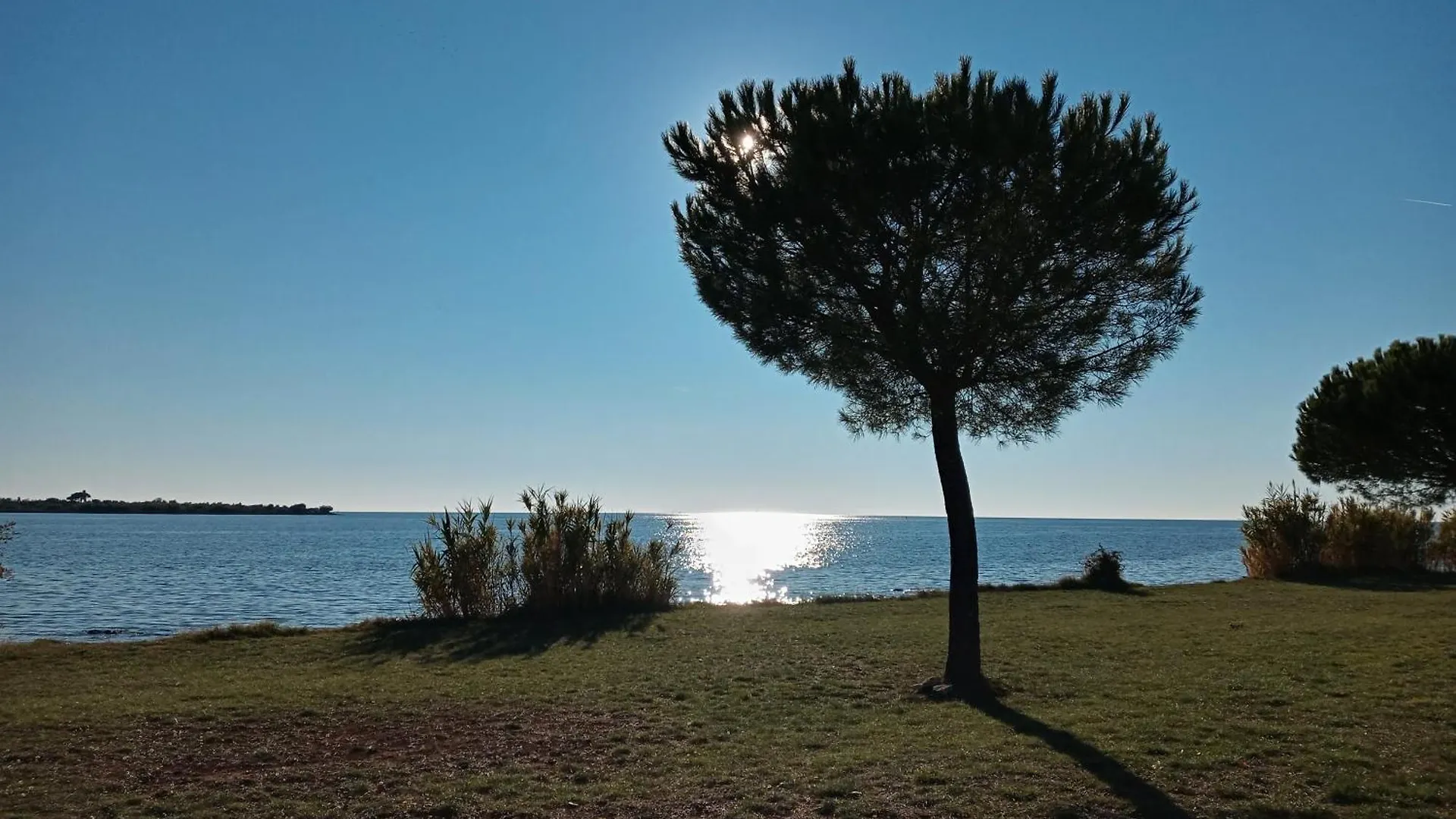 Sole 1 Daire Novigrad Istria